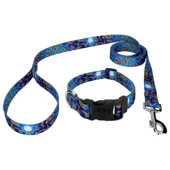 Country Brook Petz® Deluxe Kaleido Christmas Dog Collar and Leash Limited Edition, Extra Small