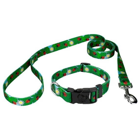 Country Brook Petz® Deluxe Ladybug Picnic Dog Collar and Leash, Extra Small