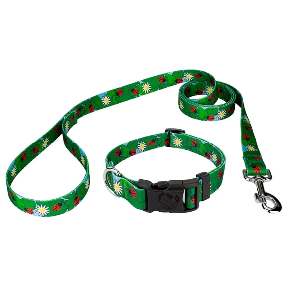 Country Brook Petz® Ladybug Picnic Everyday Dog Collar and Leash, Large