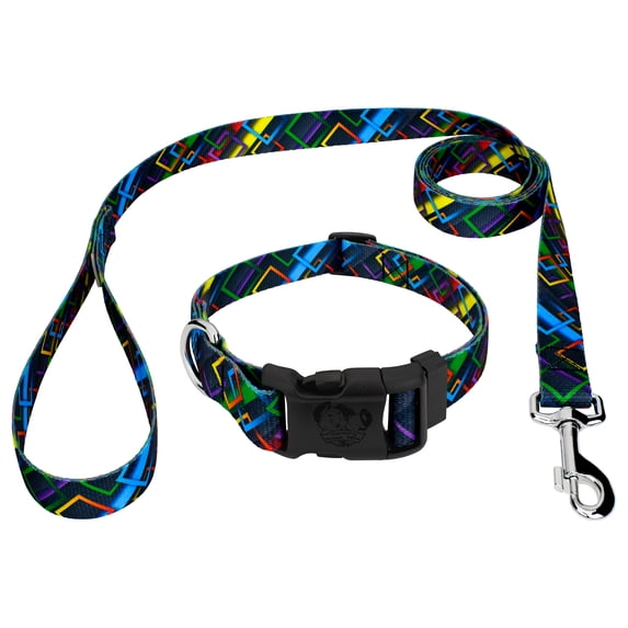 Country Brook Petz® Memphis 90s Everyday Dog Collar and Leash, Extra Small