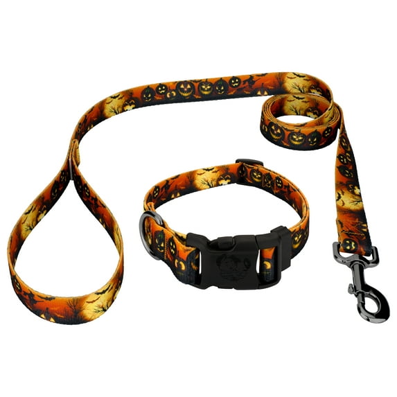 Country Brook Petz® Deluxe Midnight Fright Dog Collar and Leash, 2XS