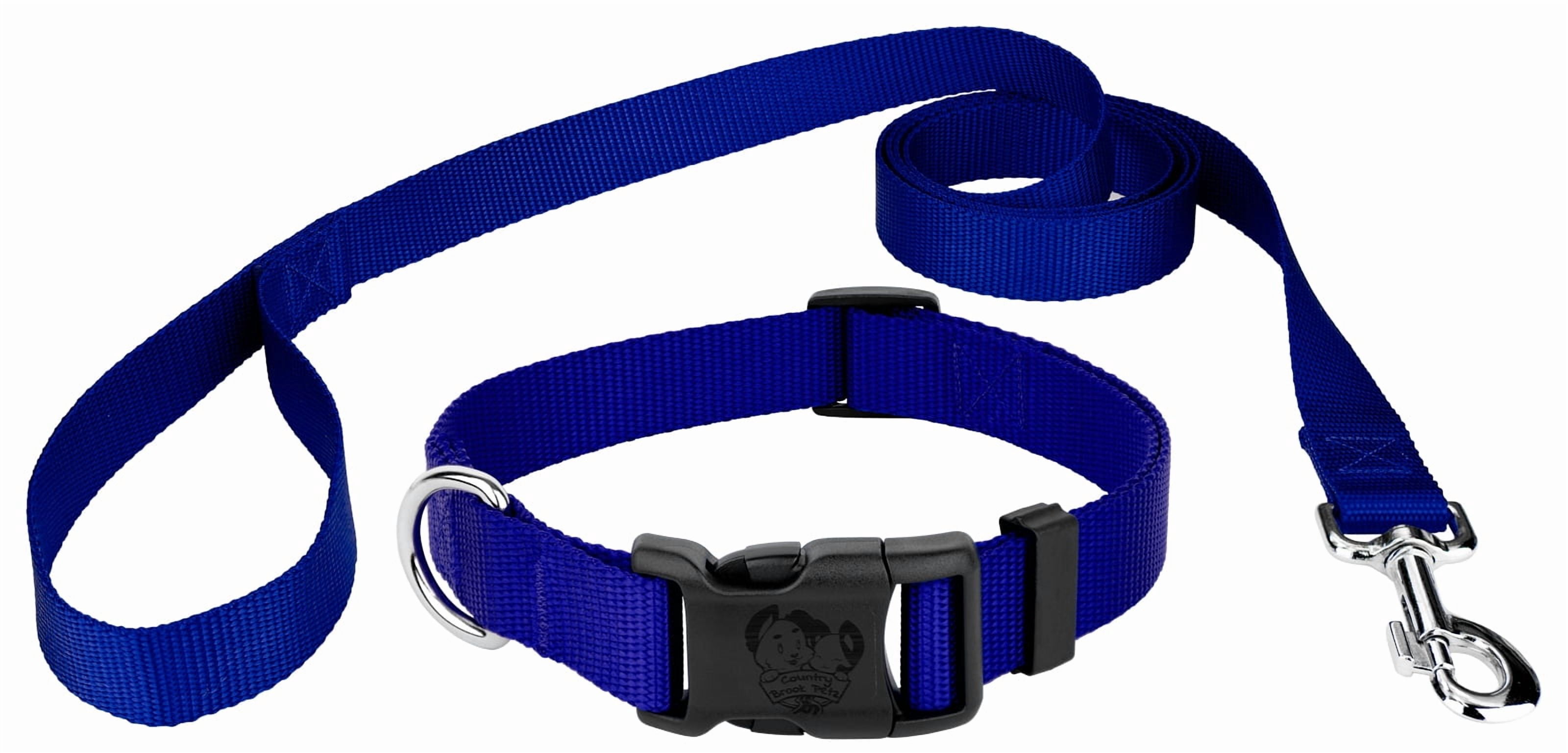 Country Brook Petz® Bright Royal Blue Everyday Nylon Dog Collar and Leash, Medium