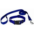 thumbnail image 1 of Country Brook Petz® Bright Royal Blue Everyday Nylon Dog Collar and Leash, Medium, 1 of 6
