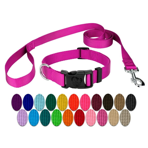 Country Brook Petz® Fuchsia Everyday Nylon Dog Collar and Leash, Large