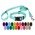 thumbnail image 1 of Country Brook Petz® Light Cyan Everyday Nylon Dog Collar and Leash, Small, 1 of 7