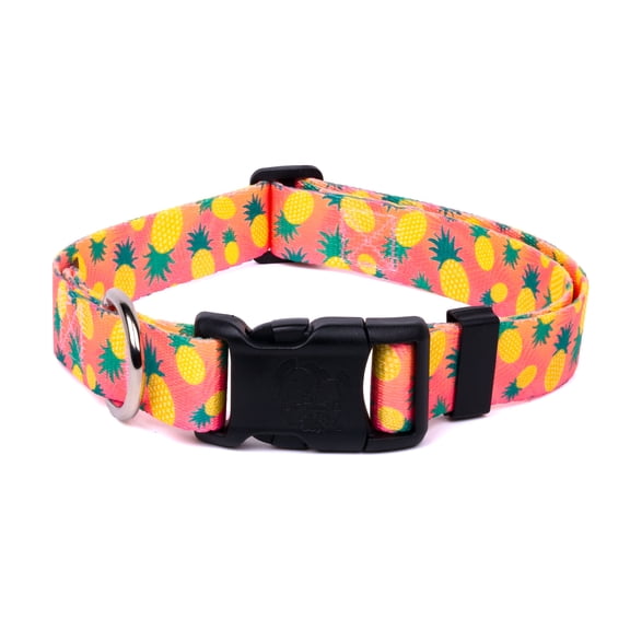 Country Brook Petz® Pineapple Sunset Everyday Dog Collar - Made in the U.S.A., 2XS