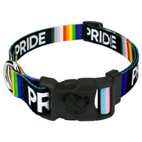 Country Brook Petz® Deluxe Pride Dog Collar - Made in the U.S.A., 2XS