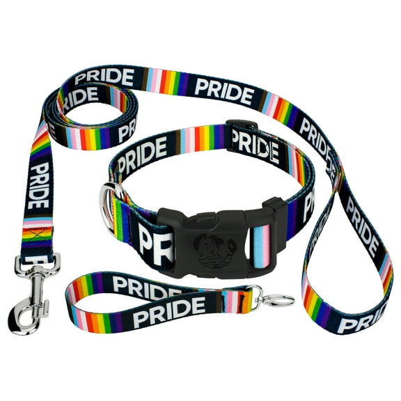 Country Brook Petz® Deluxe Pride Dog Collar and Leash, Extra Small