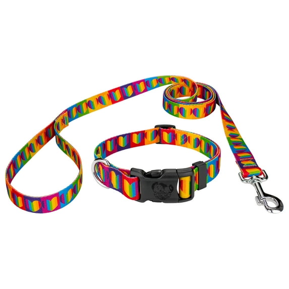 Country Brook Petz® Rainbow Hearts Everyday Dog Collar and Leash, Small