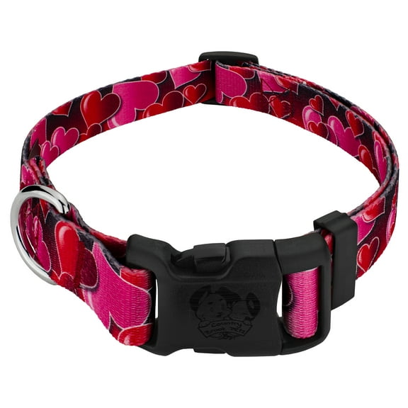 Country Brook Petz® Deluxe Romantic Hearts Dog Collar - Made in U.S.A., 2XS