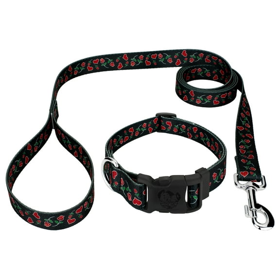 Country Brook Petz® Deluxe Roses for My Valentine Dog Collar and Leash Limited Edition, Mini