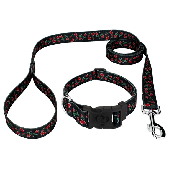 Country Brook Petz® Deluxe Roses for My Valentine Dog Collar and Leash Limited Edition, Small