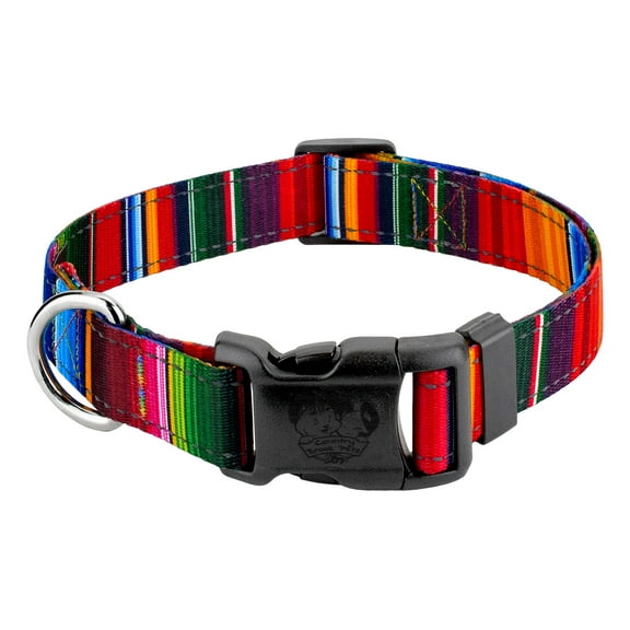 Country Brook Petz® Deluxe Serape Reflective Dog Collar, Small