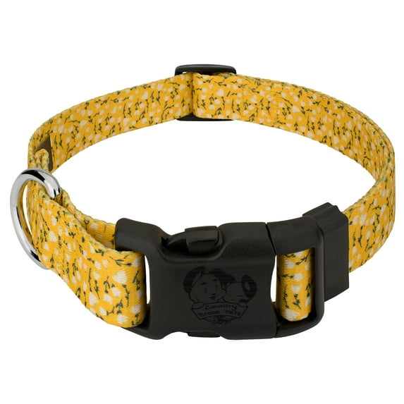 Country Brook Petz® Spring Cottagecore Everyday Dog Collar Made in the USA, Extra Large