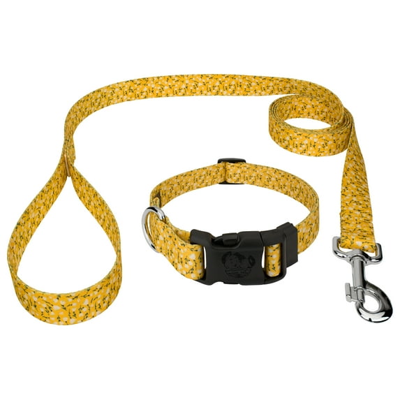 Country Brook Petz® Spring Cottagecore Everyday Dog Collar and Leash, Large