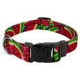 thumbnail image 1 of Country Brook Petz® Deluxe Summer Melon Dog Collar - Made in The U.S.A., Large, 1 of 5