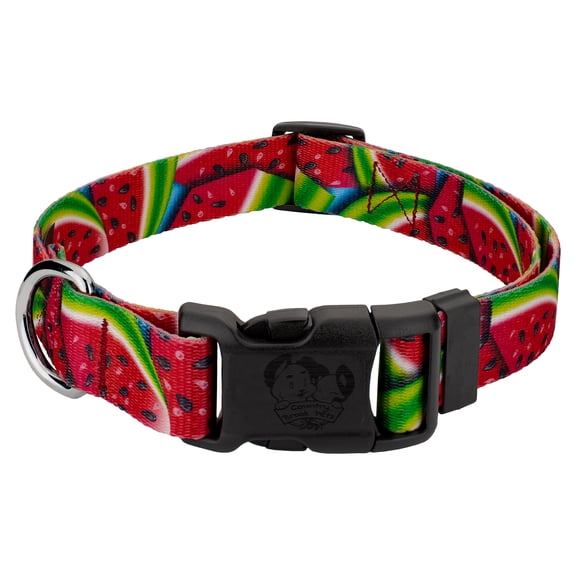 Country Brook Petz® Summer Melon Everyday Dog Collar Limited Edition Made in The U.S.A., Medium