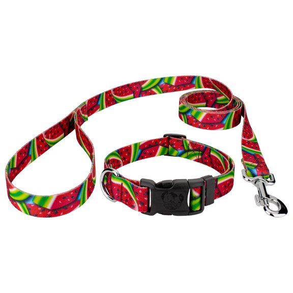 Country Brook Petz® Summer Melon Everyday Dog Collar and Leash Limited Edition, Extra Large
