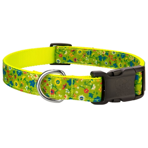 Country Brook Petz® Deluxe Sweet Floral Lemongrass Ribbon Dog Collar, Medium