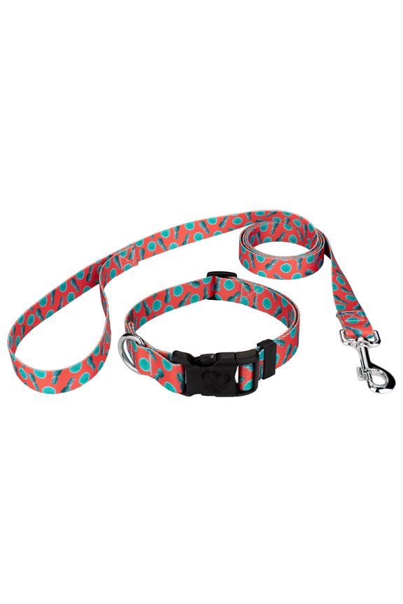 ® Tropical Tango Everyday Dog Collar and Leash LTD, Extra Small