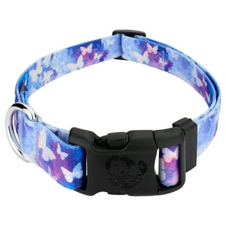 Butterfly hotsell dog collar