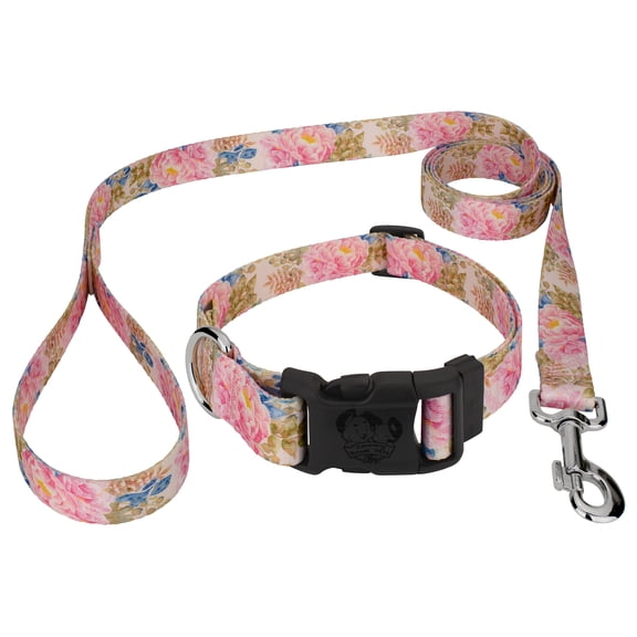 Country Brook Petz® Deluxe Watercolor Peonies Dog Collar and Leash, 2XS