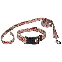 Country Brook Petz® Deluxe Where's Merry Dog Collar and Leash, Mini
