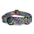 thumbnail image 1 of Country Brook Petz® Electric Leopard Martingale Dog Collar, Medium, 1 of 7