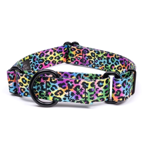 Country Brook Petz® Electric Leopard Martingale Dog Collar, Medium