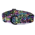 thumbnail image 1 of Country Brook Petz® Electric Leopard Reflective Martingale Dog Collar, Small, 1 of 7