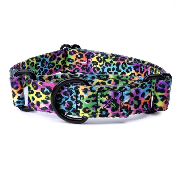 Country Brook Petz® Electric Leopard Reflective Martingale Dog Collar, Small