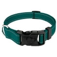 thumbnail image 1 of Country Brook Petz® Everyday Safety Reflective Dog Collar (Teal, Medium), 1 of 7