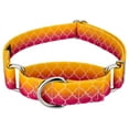 thumbnail image 1 of Country Brook Petz® Fabulous Ombre Martingale Dog Collar Limited Edition, Medium, 1 of 5