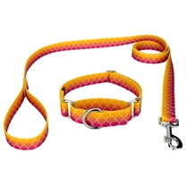 Country Brook Petz® Fabulous Ombre Martingale Dog Collar and Leash, 2XS