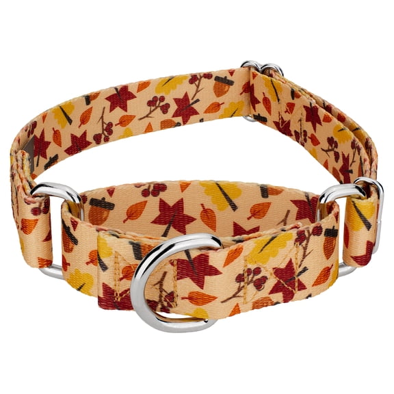 Country Brook Petz® Fall Foliage Martingale Dog Collar, Small