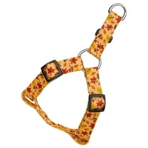 Country Brook Petz® Fall Foliage Step-In Dog Harness, Medium
