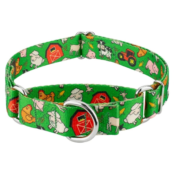 Country Brook Petz® Farm Life Y'all Martingale Dog Collar, Large