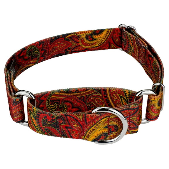 Country Brook Petz® Fire Paisley Martingale Dog Collar, Extra Large