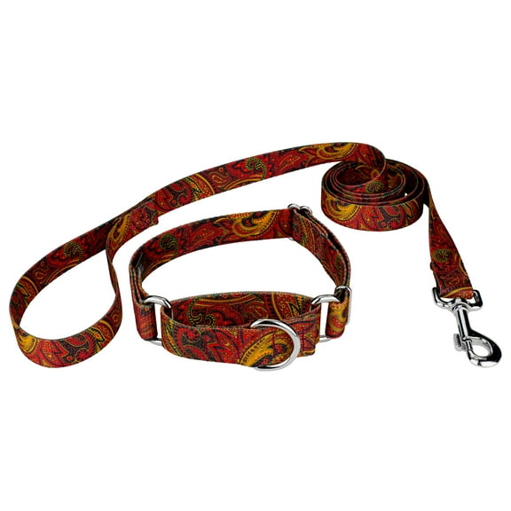 Country Brook Petz® Fire Paisley Martingale Dog Collar and Leash, Large
