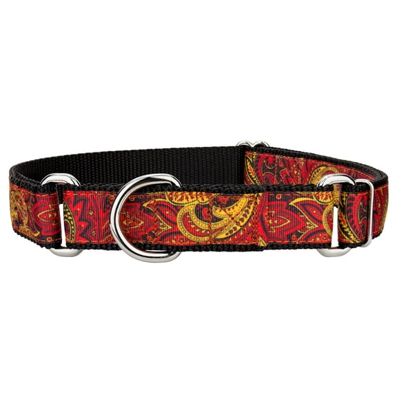 Country Brook Petz® Fire Paisley Ribbon Martingale Collar, Small