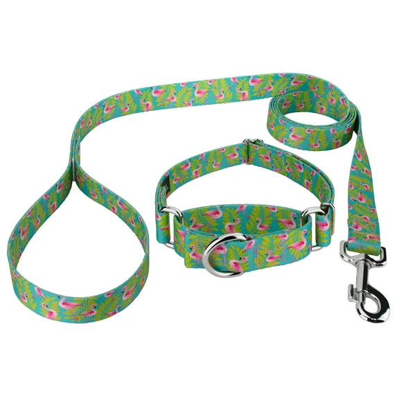 Country Brook Petz® Flamingos Martingale Dog Collar and Leash, Extra Large