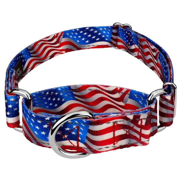 Country Brook Petz® Flying Free Reflective Martingale Dog Collar, Medium