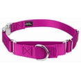 thumbnail image 1 of Country Brook Petz® Fuchsia Heavyduty Nylon Martingale with Premium Buckle, Extra Small, 1 of 6