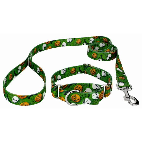 Country Brook Petz® Ghoulish Delights Martingale Dog Collar and Leash Limited Edition, Mini