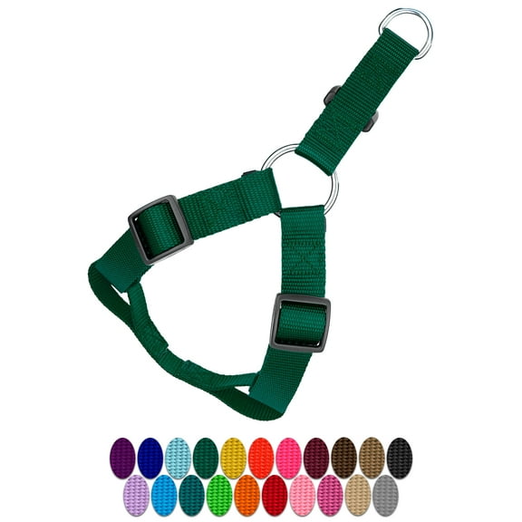 Country Brook Petz® Green Nylon Step-In Dog Harness, Large