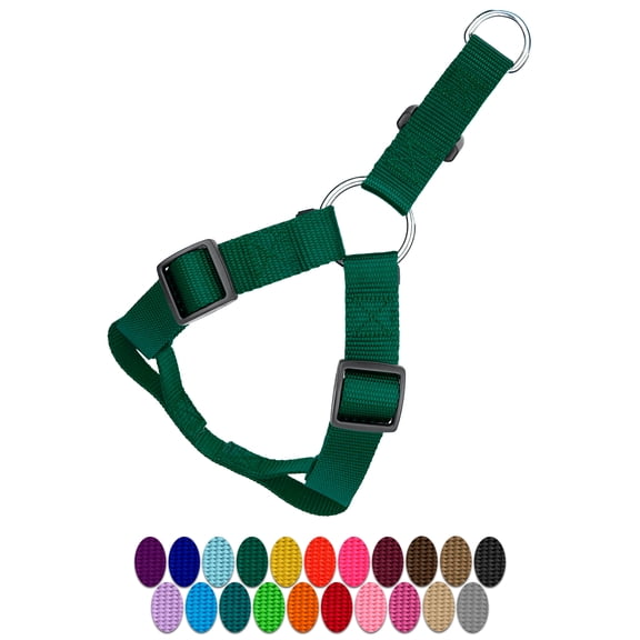 Country Brook Petz® Green Nylon Step-In Dog Harness, Medium