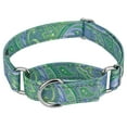 thumbnail image 1 of Country Brook Petz® Green Paisley Reflective Martingale Dog Collar, Extra Large, 1 of 6
