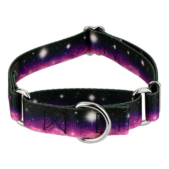 Country Brook Petz® Heavenly Space Martingale Dog Collar, Medium