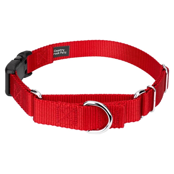 Country Brook Petz® Heavy Duty Nylon Martingale Dog Collar with Plastic Buckle for Adjustable Small Medium Large Breeds - 30+ Vibrant Color Options (1 Inch, Medium, Bright Red)