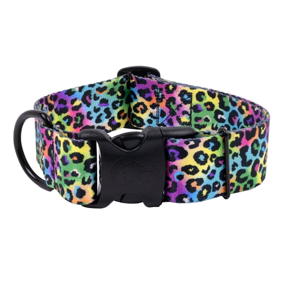 Country Brook Petz® HossFit Jr Wide Everyday Dog Collar, Electric Leopard, Medium